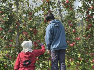 日々ちょっと成長