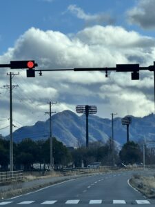 実りにむけた剪定